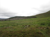MHG61620_01.JPG