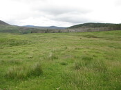 MHG61620_02.JPG