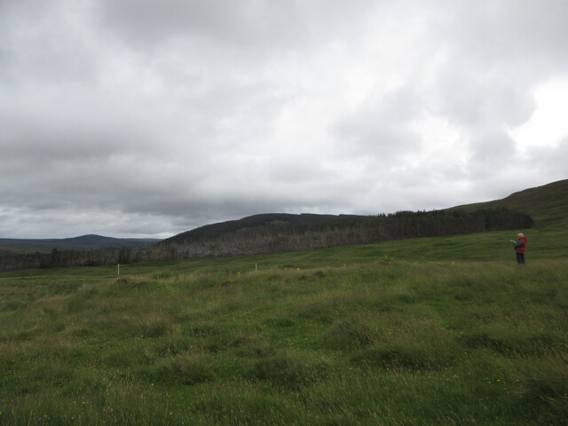MHG61620_03.JPG