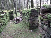MHG52603_P1040511.JPG