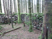 MHG52603_P1040541.JPG