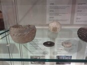 Click on the thumbnail to see a larger version SHG28509_CaenBurnCup.jpg