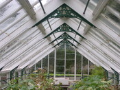 EHG5370_03.JPG