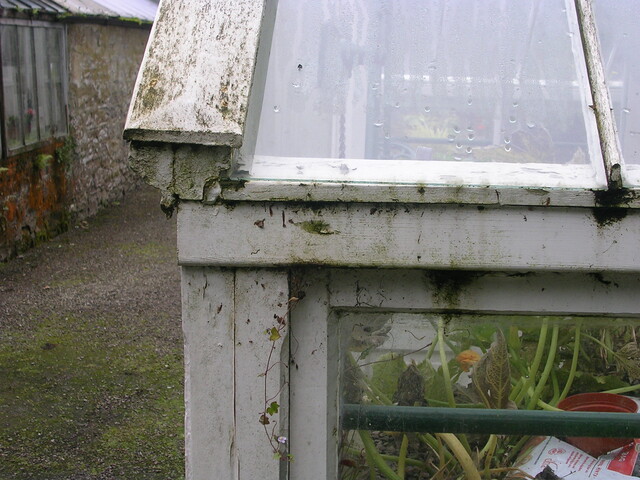 EHG5370_07.JPG