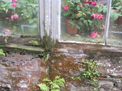 EHG5370_09.JPG