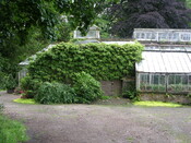 EHG5370_25.JPG
