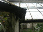 EHG5370_29.JPG