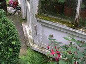 EHG5370_30.JPG
