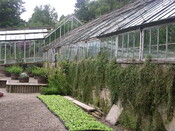 EHG5370_43.JPG