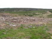 MHG12623_01.jpg