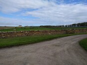 EHG5383_119.jpg