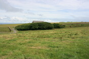 EHG5383_121.JPG