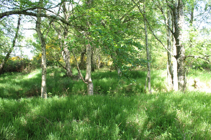 MHG61914_01.JPG