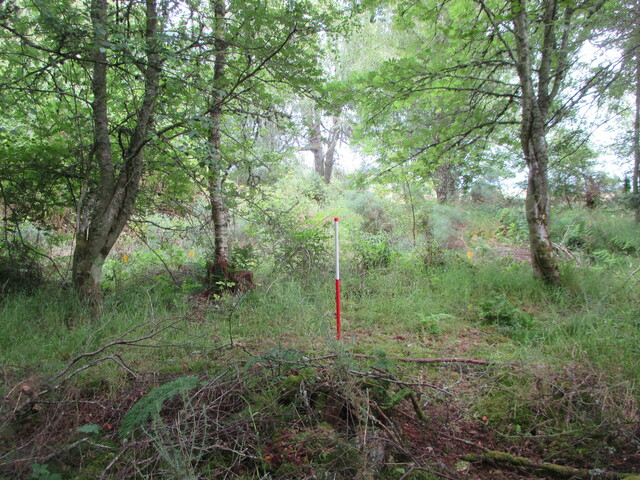MHG61914_14.JPG