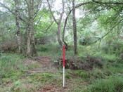 MHG61914_15.JPG
