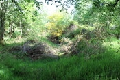 MHG61914_05.JPG