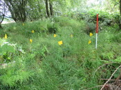 MHG61914_06.JPG