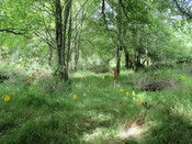 MHG61914_07.JPG
