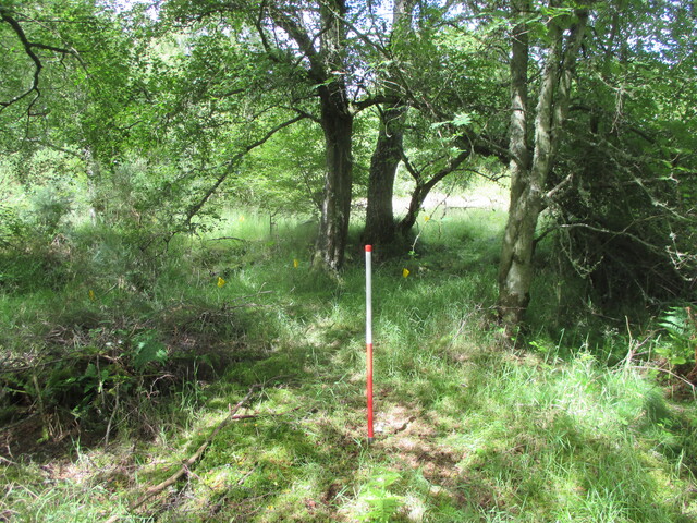 MHG61914_09.JPG