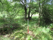 MHG61914_09.JPG