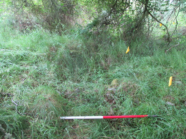 MHG61914_10.JPG