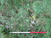 MHG61914_11.JPG