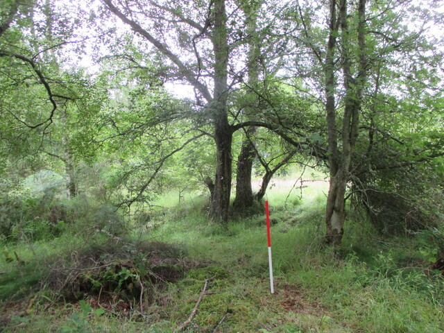 MHG61914_12.JPG