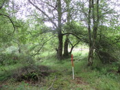 MHG61914_12.JPG