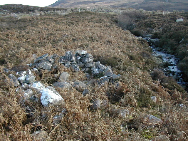 NB91SE0015.JPG