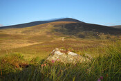 MHG62101_01.jpg