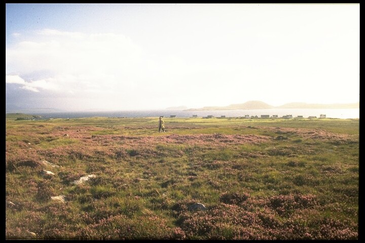 NC00NW0002 - Enclosure & field walls, Bad A'Chotair, Achiltibuie 1.jpg