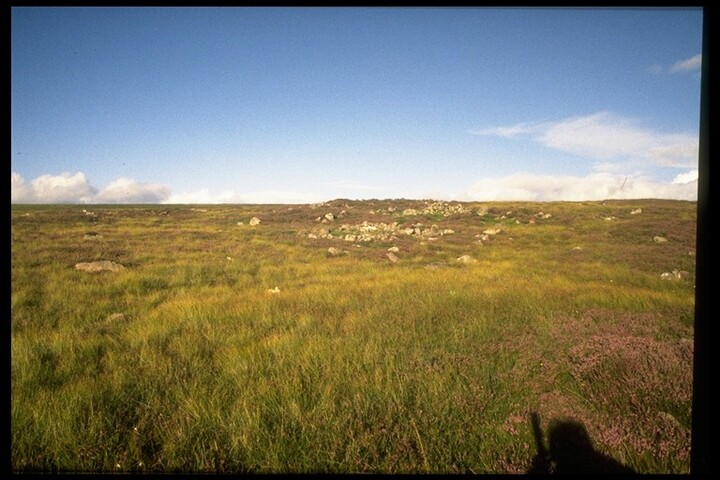 NC00NW0002 - Enclosure & field walls, Bad A'Chotair, Achiltibuie 2.jpg
