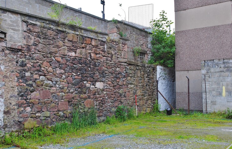 SHG28628_02.JPG