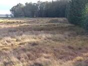 MHG62191_3.jpg