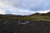 EHG5084_01.JPG