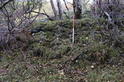 EHG5084_13.JPG