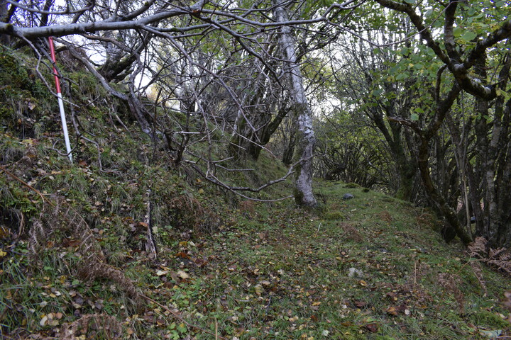 EHG5084_14.JPG