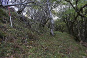 EHG5084_14.JPG