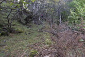 EHG5084_15.JPG