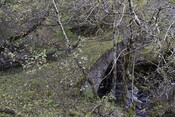 EHG5084_16.JPG