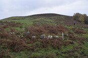 EHG5084_27.JPG