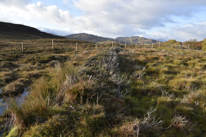 EHG5084_03.JPG