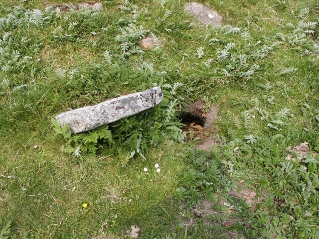 NC15NE0003 - Cladh Eilean na h-Aiteig, Oldshoremore1.jpg