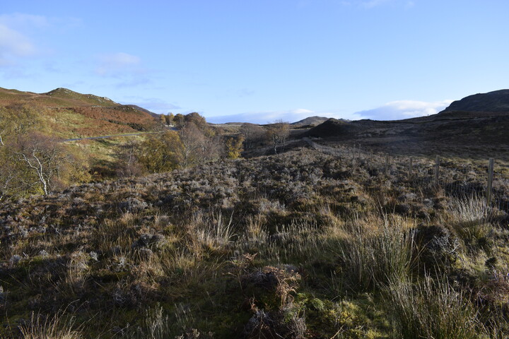 EHG5084_04.JPG