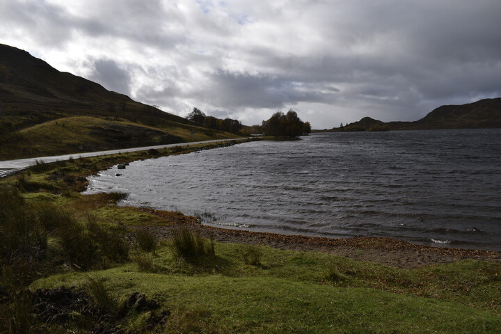 EHG5084_42.JPG