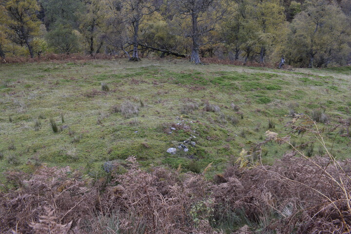 EHG5084_08.JPG