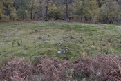 EHG5084_08.JPG