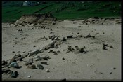 NC15NE0004 - Enclosure, Balchrick 2.jpg