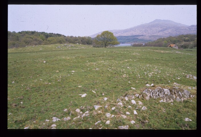 2390.jpg