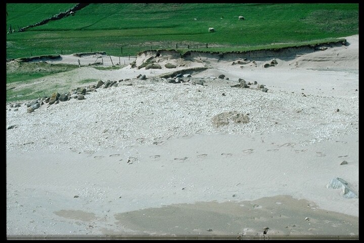 NC15NE0004 - Enclosure, Cnoc Na Moine, Balchrick 2.jpg